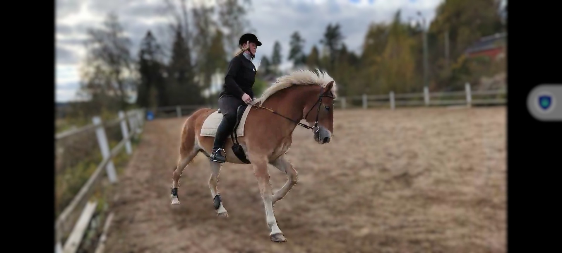 Irma ja Rähin Poika